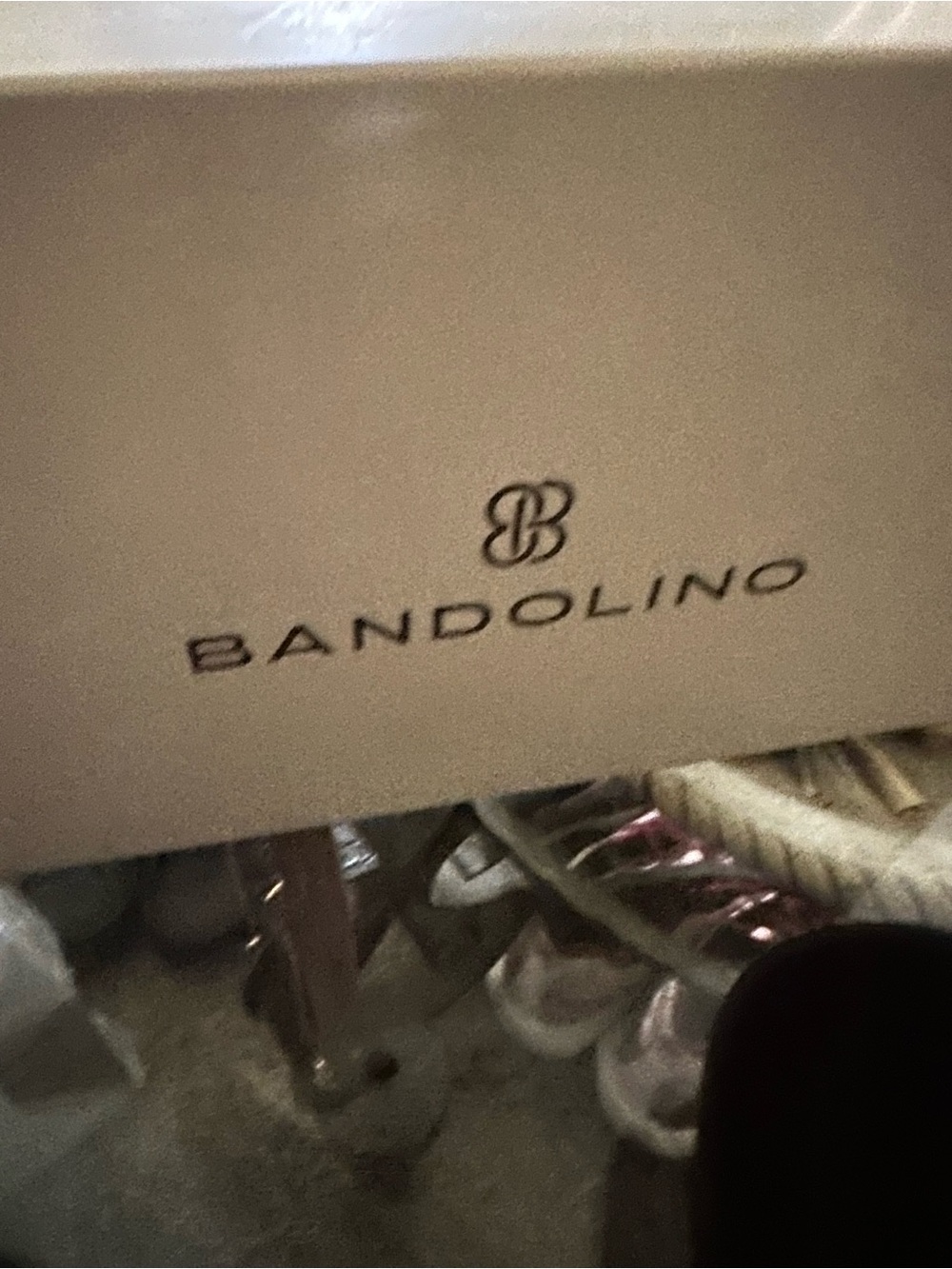 Bandolino Cream Box with Black Logo